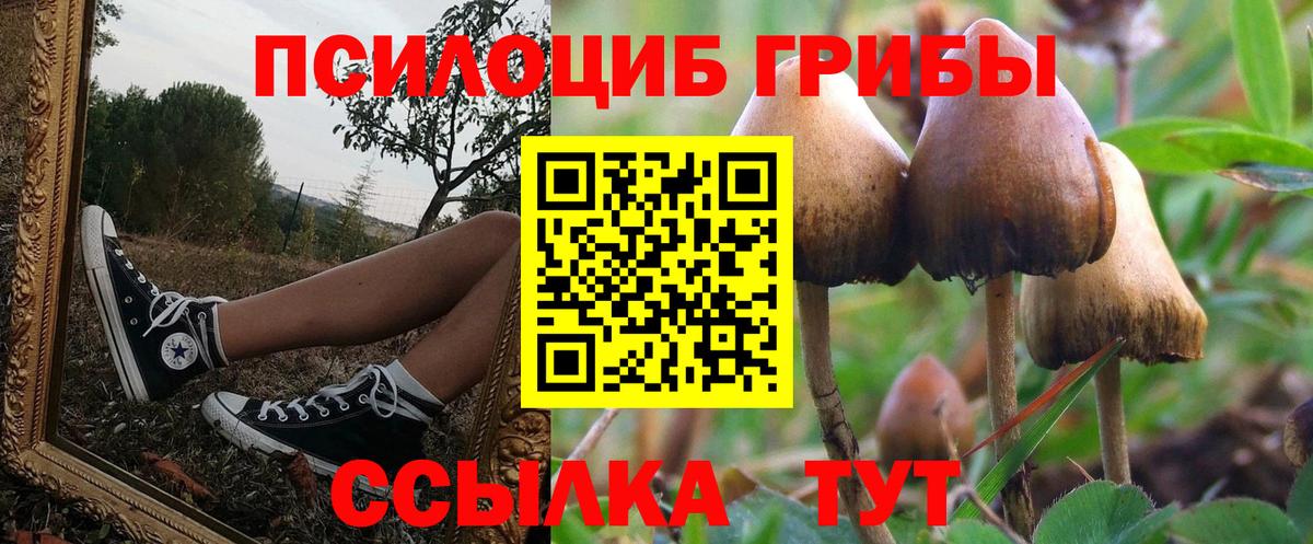 Вышний Волочёк  даркнет сайт  Вход с VPN  Галлюциногенные грибы GOLDEN TEACHER 